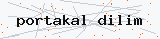 Güvenlik kodu